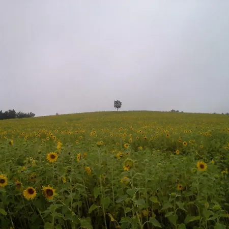 Апартаменты Sommerfrische