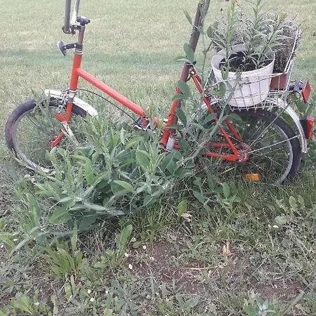 Sommerfrische * Hinterhermsdorf