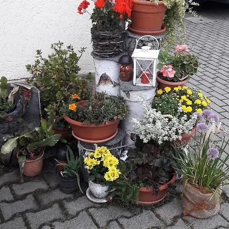 Apartment Sommerfrische Hinterhermsdorf