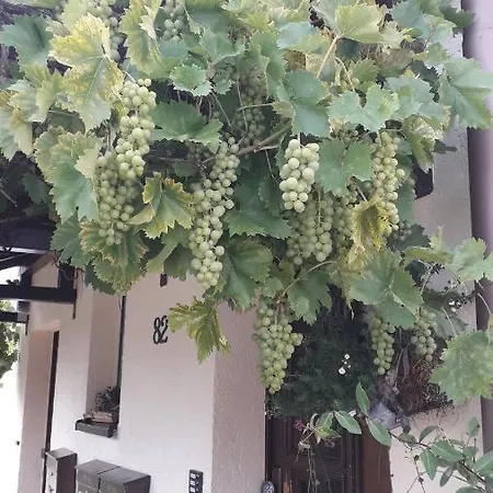 Apartment Sommerfrische