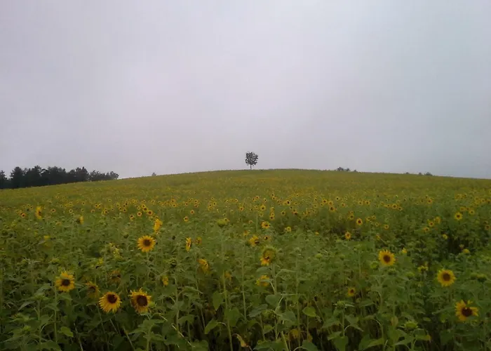 Appartamento Sommerfrische