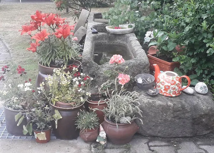 Apartment Sommerfrische *