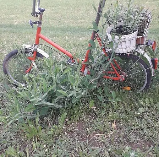 Sommerfrische * Hinterhermsdorf